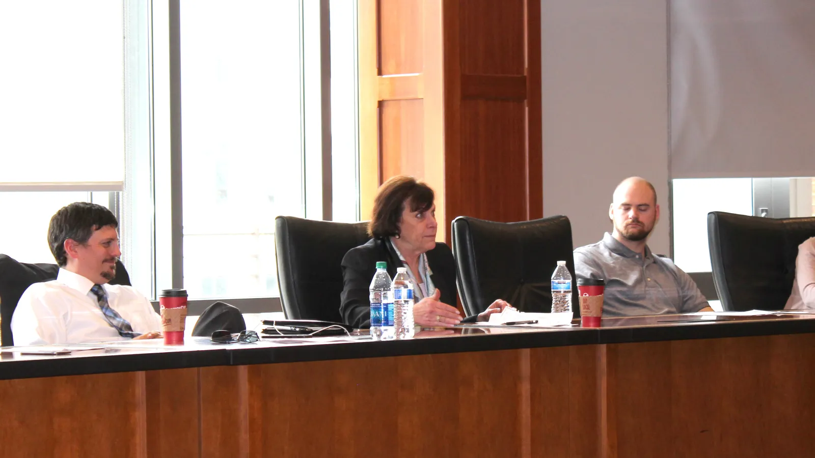 Panel of experts