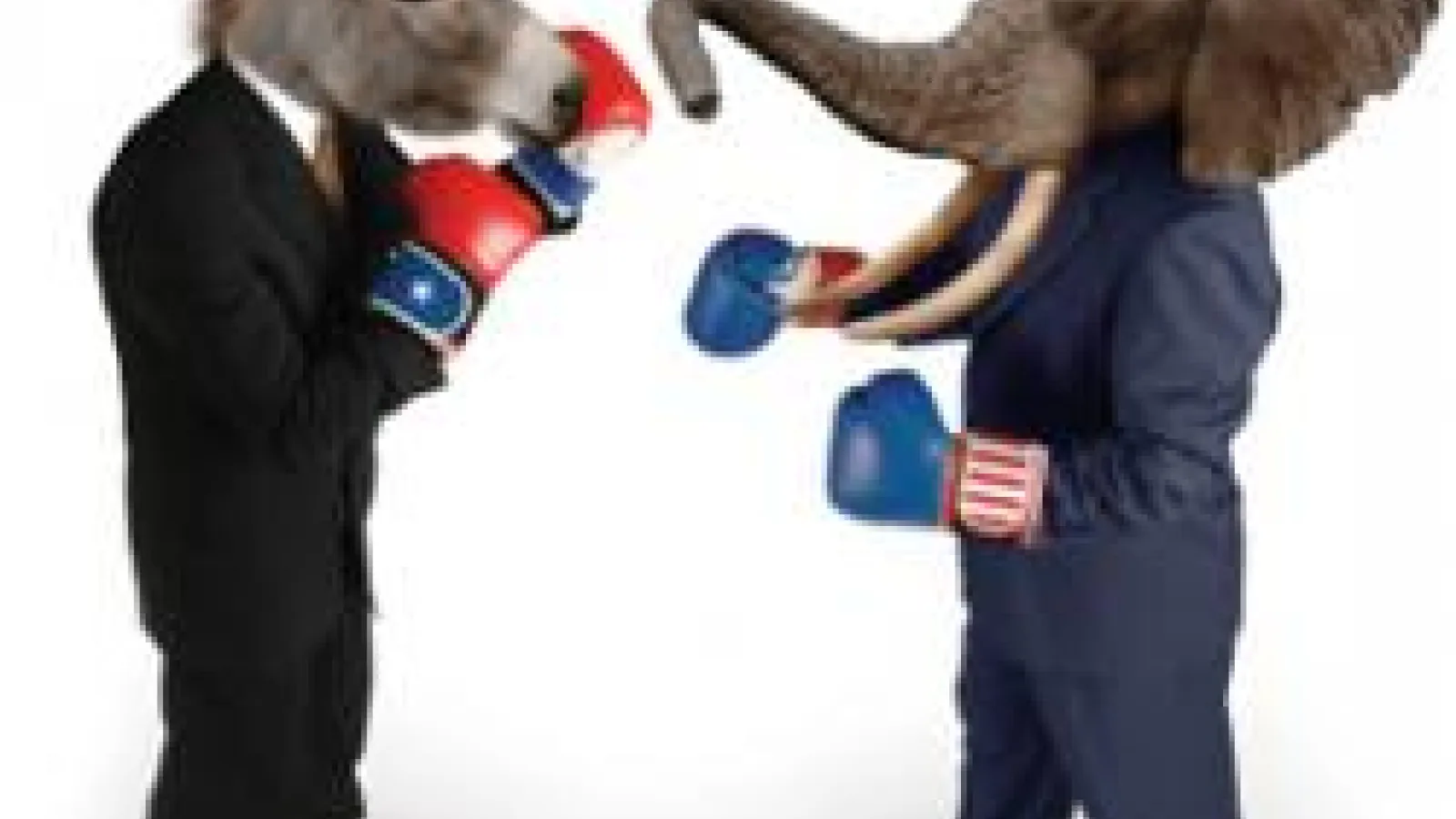 Donkey & Elephant, Democrat & Republican mascots, boxing.